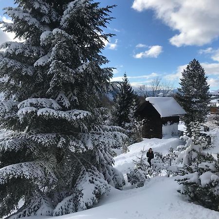 Haus Grimmingblick Villa Zlem Buitenkant foto
