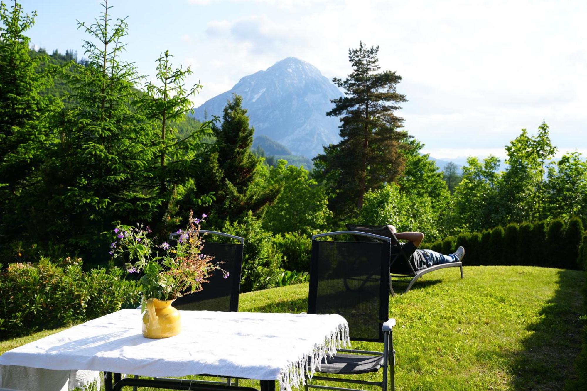 Haus Grimmingblick Villa Zlem Buitenkant foto
