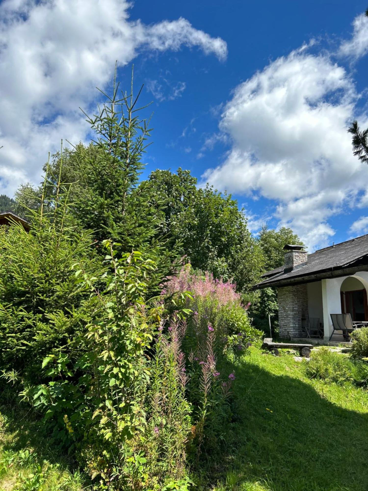 Haus Grimmingblick Villa Zlem Buitenkant foto
